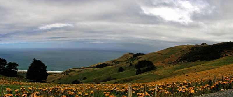 Nieuw-Zeeland 2011 - 1910